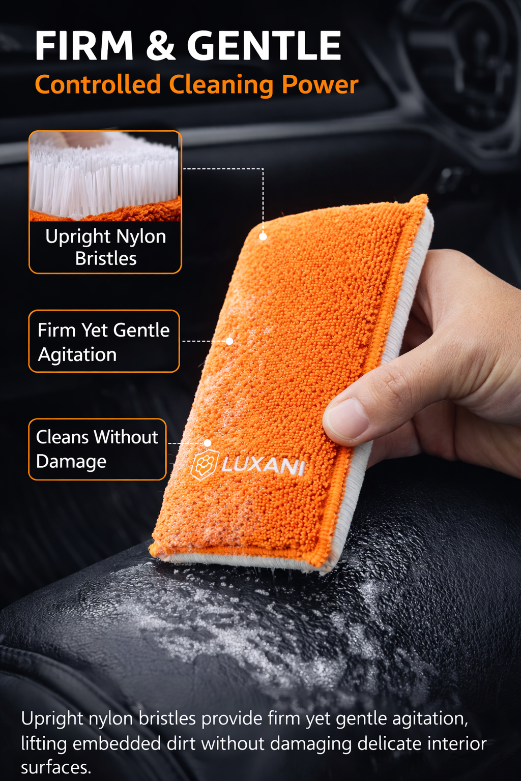 Interior Scrubbing Sponge